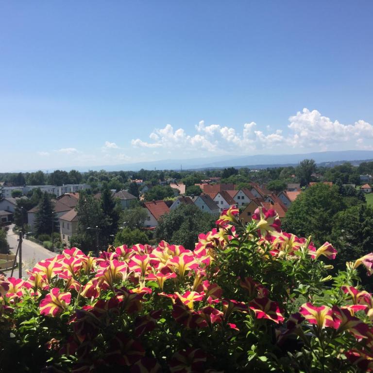Komfortables Appartement/Garconniere in Graz für Urlaub und Geschäftsreisen - Apartment mit 1 Schlafzimmer - 26