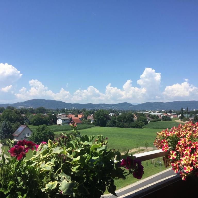 Komfortables Appartement/Garconniere in Graz für Urlaub und Geschäftsreisen - Apartment mit 1 Schlafzimmer - 22