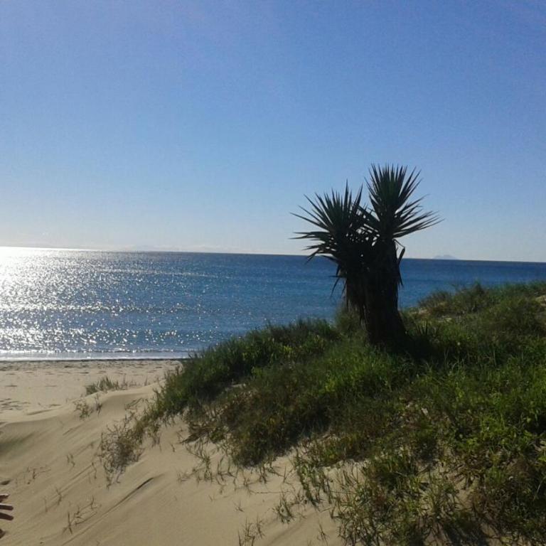 Beach & Center Premiun - Apartamento de 1 dormitorio - 42
