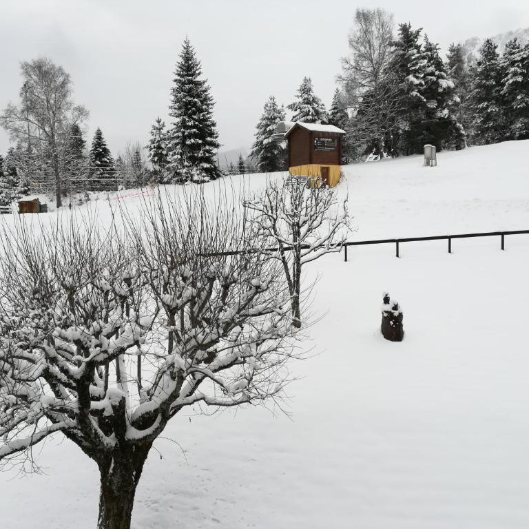 Romantic Chalet-Style Flat with Mountain View - Apartment mit Blick auf die Berge - 51