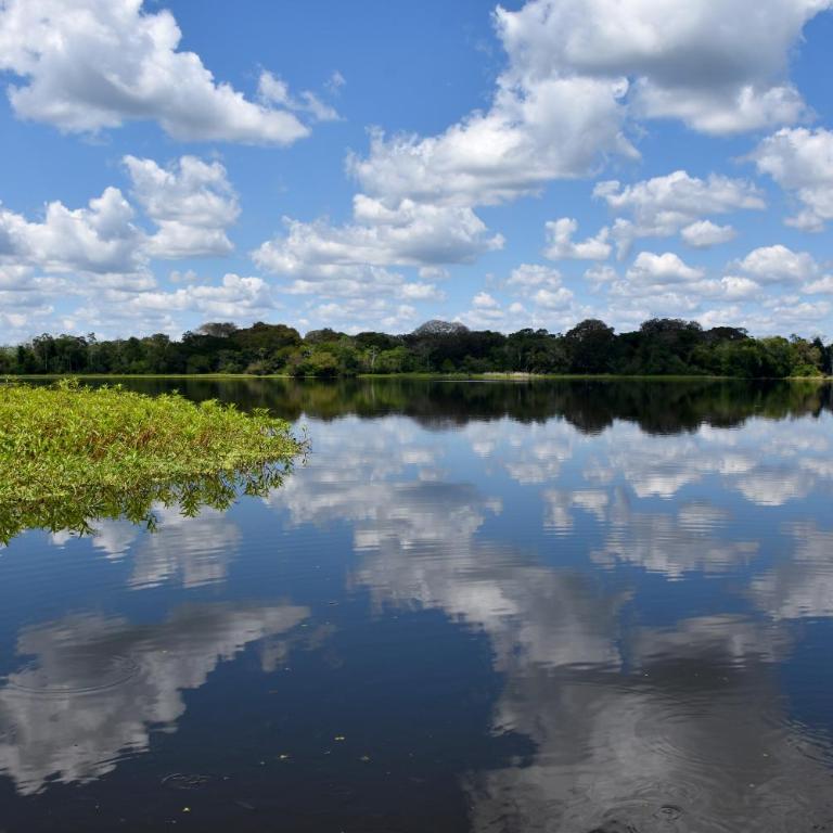 Yaku Amazon Lodge & Expeditions - Bungalow Familiar - 9
