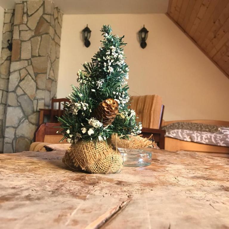 Villa Popara Kopaonik - Studio (4 Adults) - 6