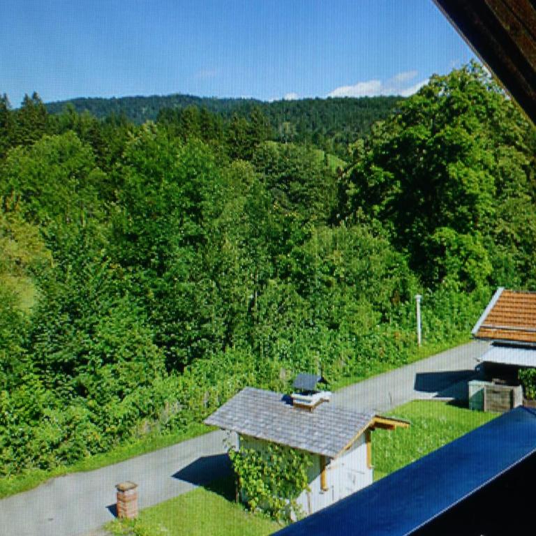 Gästehaus Kurparkfrieden - Apartment mit Blick auf die Berge - 2