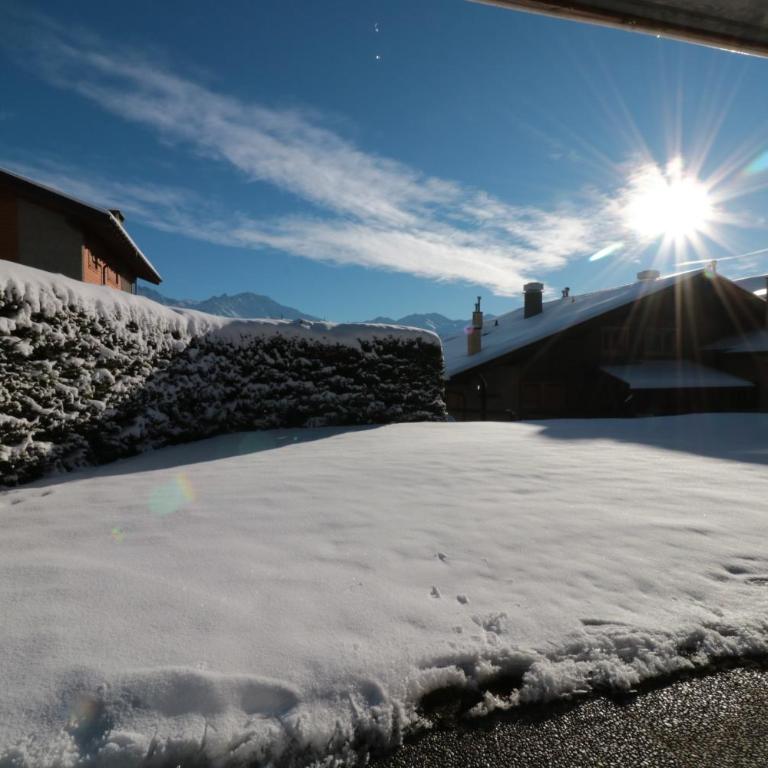 Farfadet 109 - Appartement - Rez-de-Chaussée - 15