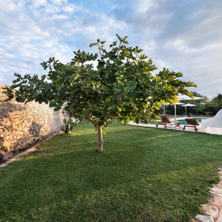 Masseria Il Mandorlo Fiorito con piscina - Deluxe Villa - 46