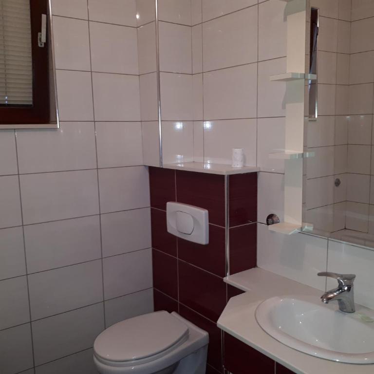 Apartmani Pale - Apartment with Garden View - 6