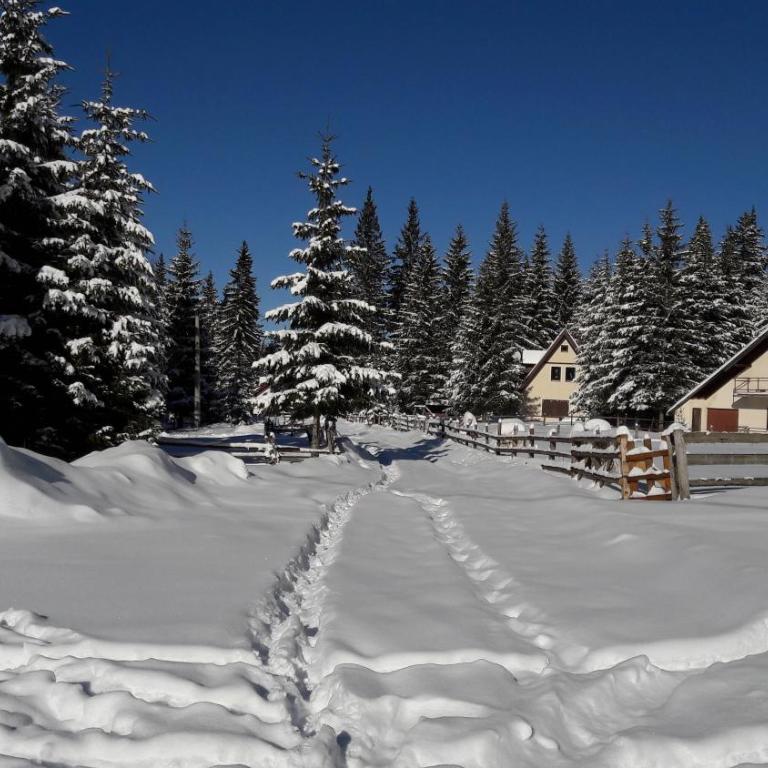 Snowhite Jahorina - Superior Chalet - 9