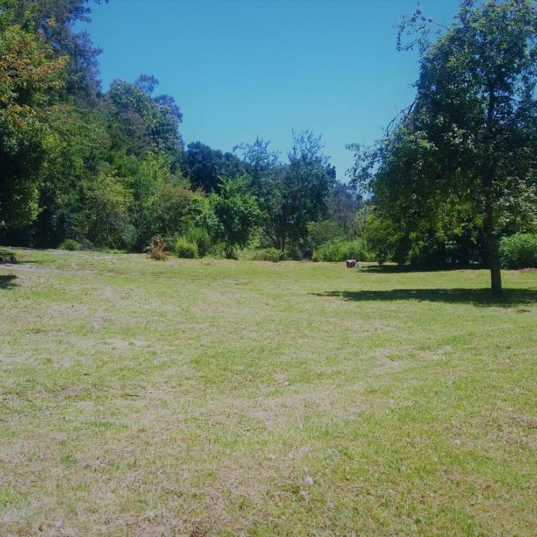 Cabañas Llifenativo - Casa de campo - 3