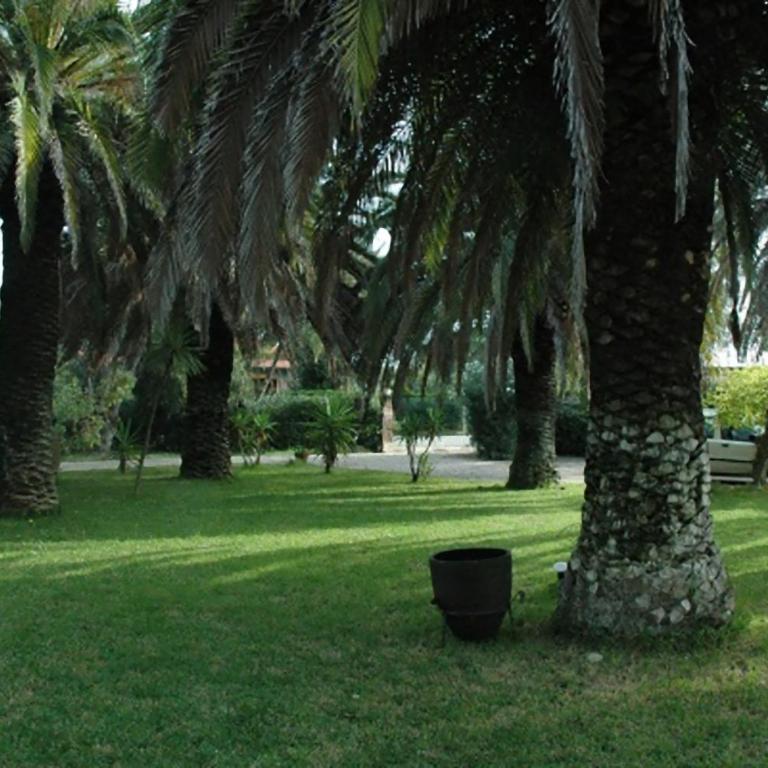 Le Palme - Monolocale - 1