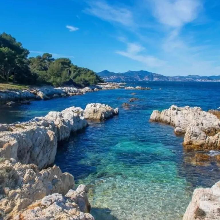 Delaup Sea Cannes - Appartement 1 Chambre - 26