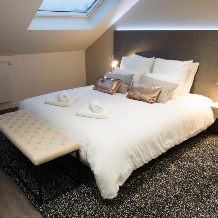 Luxueux logement Bourgeois de 250 M2 climatisé - Apartment - 32