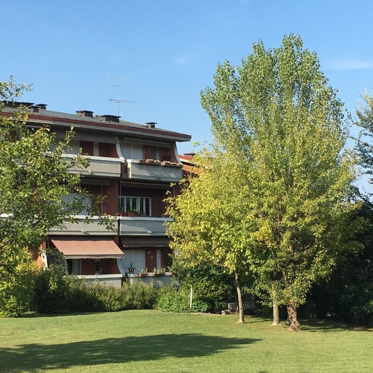 Clorofilla - Appartamento Standard - 16