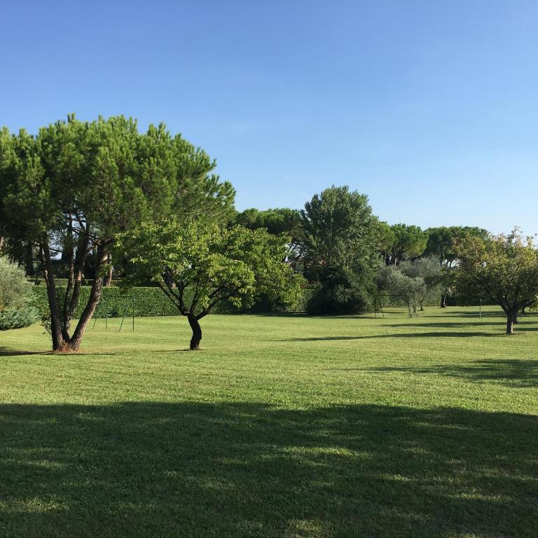 Clorofilla - Appartamento Standard - 19