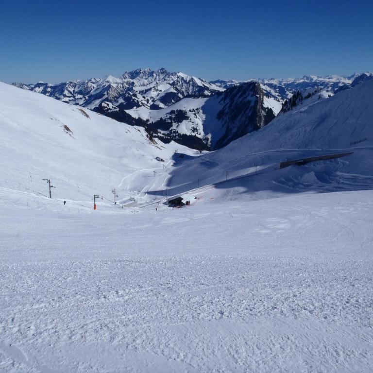 Gais Alpins - Ferienhaus - 43