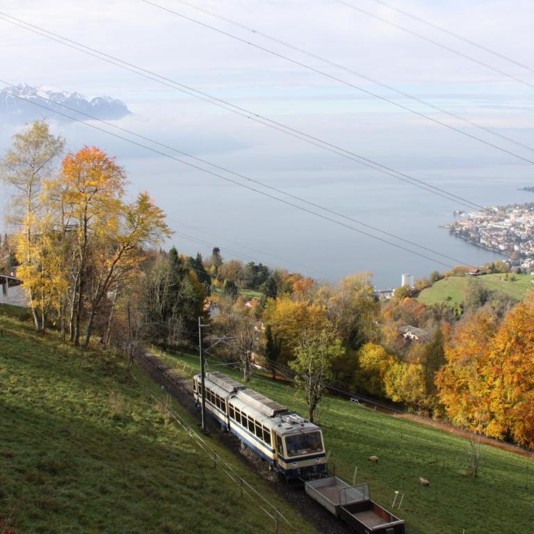 Gais Alpins - Ferienhaus - 7