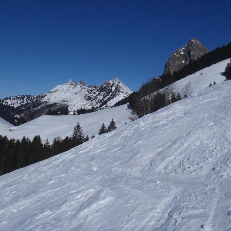 Gais Alpins - Ferienhaus - 45