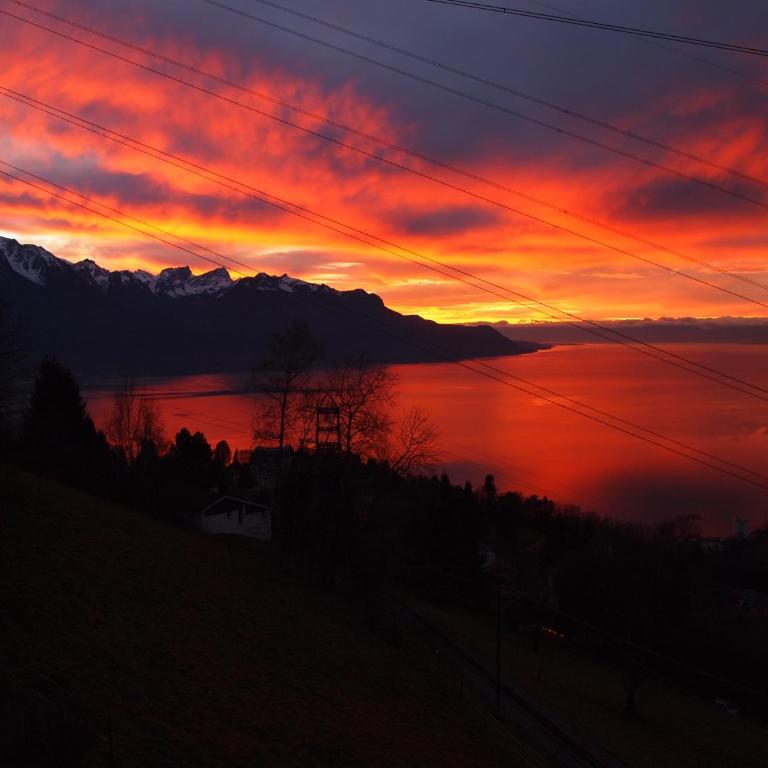 Gais Alpins - Ferienhaus - 15