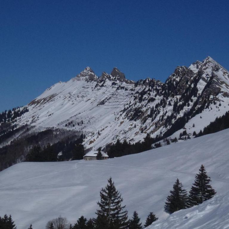 Gais Alpins - Ferienhaus - 44