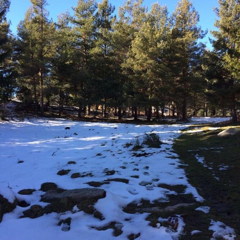 Le Jardin de Font Romeu - Appartement - Rez-de-Chaussée - 30
