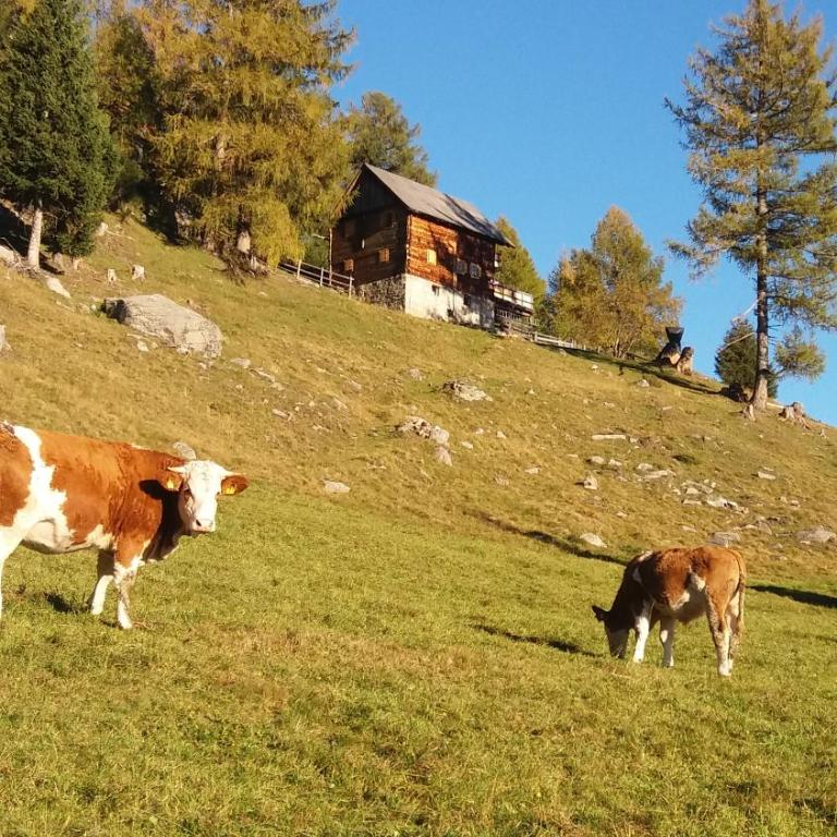 Platzerhütte - Chalet mit 3 Schlafzimmern - 4