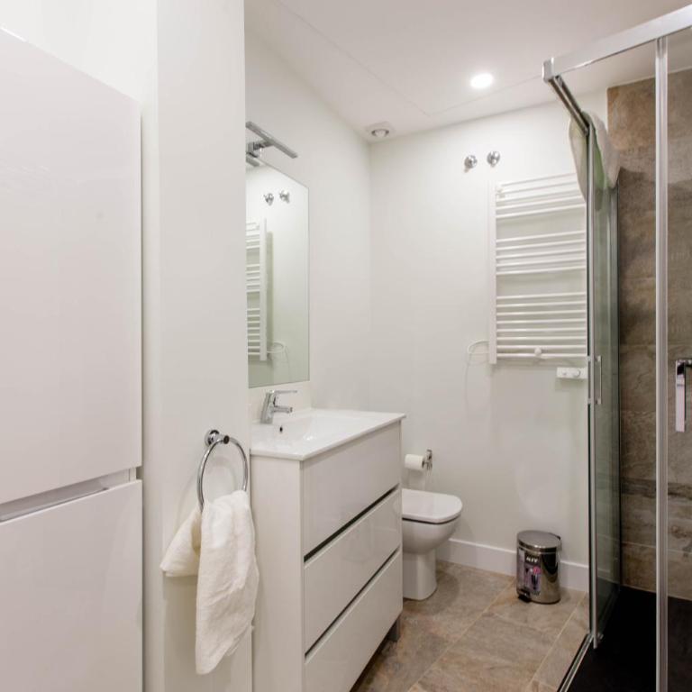 BookinMadrid - Plaza Mayor - Plaza Cascorro - Superior Apartment - 33
