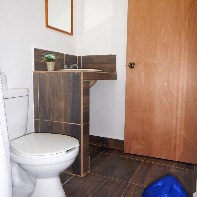 Blue Coconut Cancun Hotel - Twin Room with Private Bathroom - 9