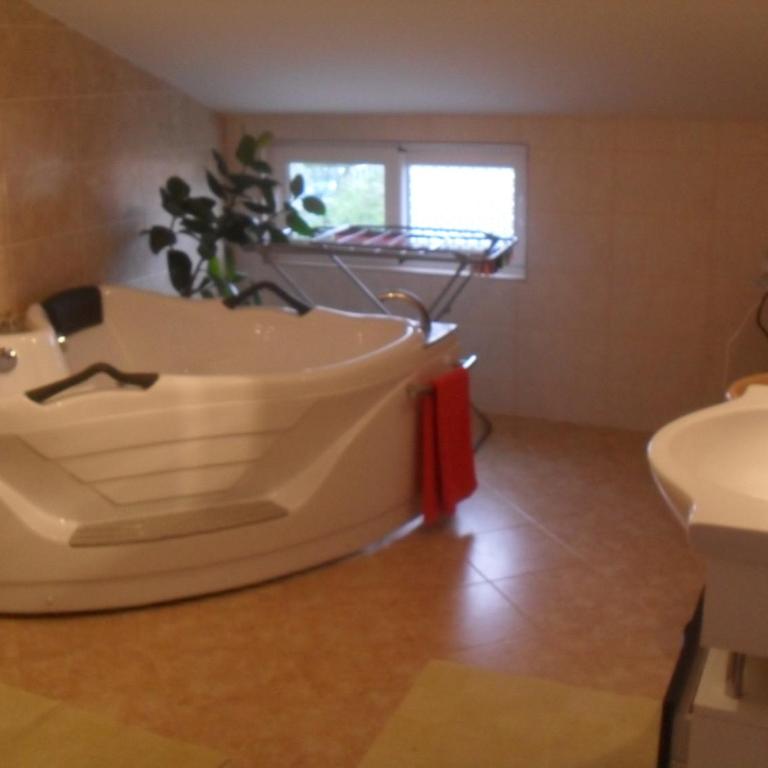 Apartments Sandra - Superior Apartman s 2 Spavaće Sobe - 12
