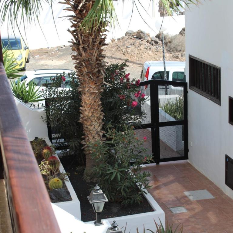Casa Jameos - Apartamento de 2 dormitorios con terraza y vistas al mar - 22