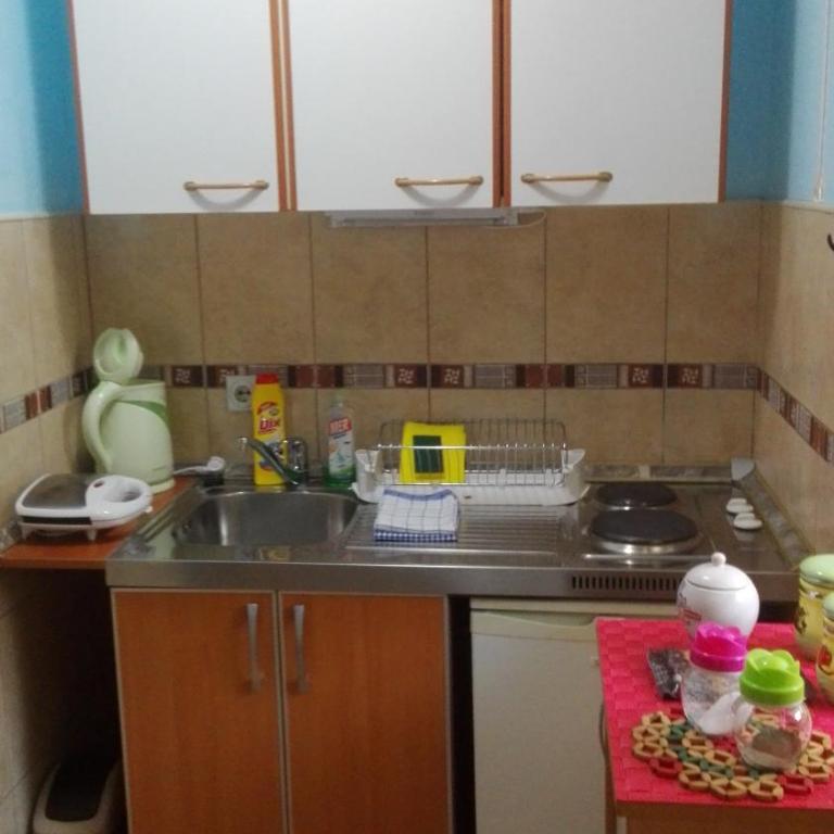 Apartments Penovic - One-Bedroom Apartment - 19