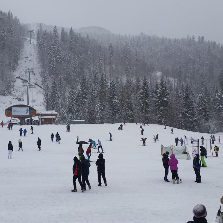 Apartment Knez - Apartman sa 2 Spavaće Sobe - 27