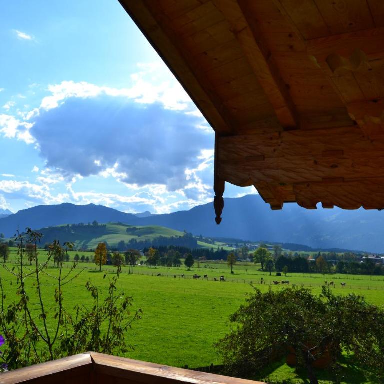 Appartement Herzog - Studio-Apartment - 5