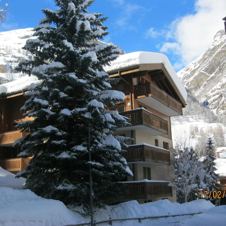 Apartment Balma 3 rooms near Gondelbahn - Apartment mit 2 Schlafzimmern - 3