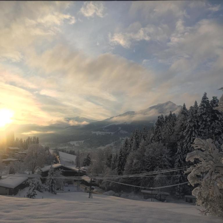 Berghof Haselsberger Appartements - Apartamento con vistas a las montañas - 32