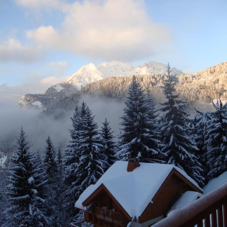 Chalet Clementine - Chalet mit 4 Schlafzimmern (8 Erwachsene) - 29