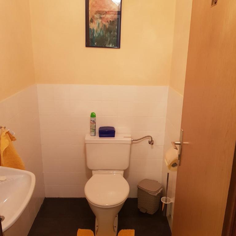 Apartment Familie Haupt - Studio mit Bergblick - 8