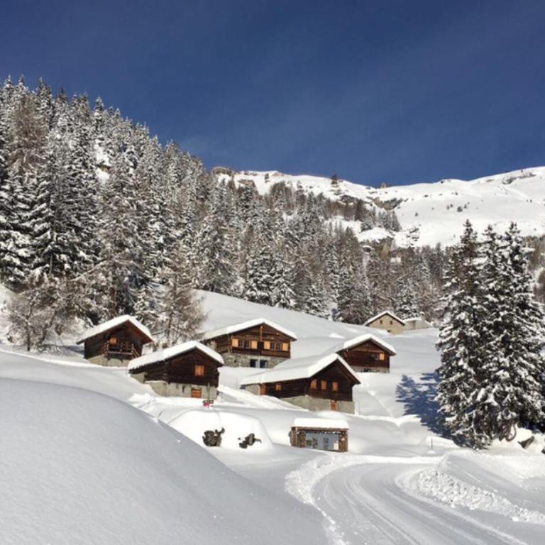 Le Mayen de Colombire - Chalet - 8
