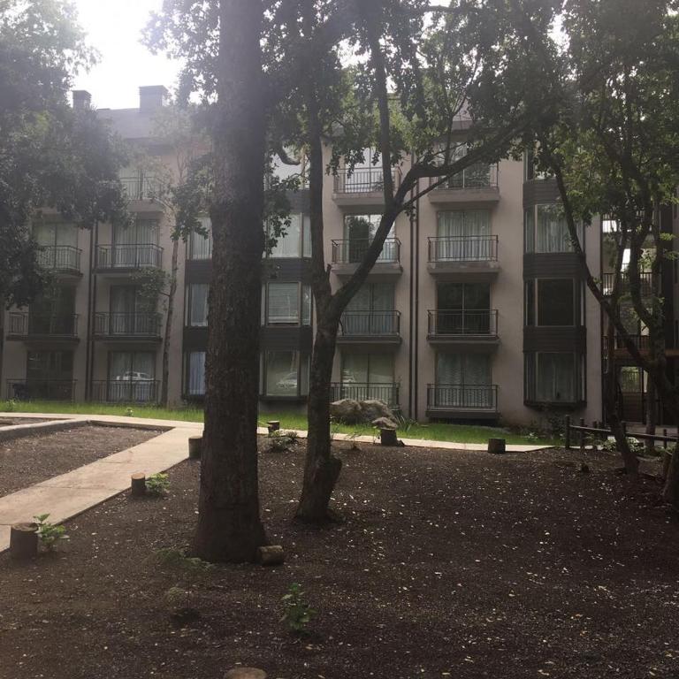 Departamento en Pucon - Apartment with Garden View - 11