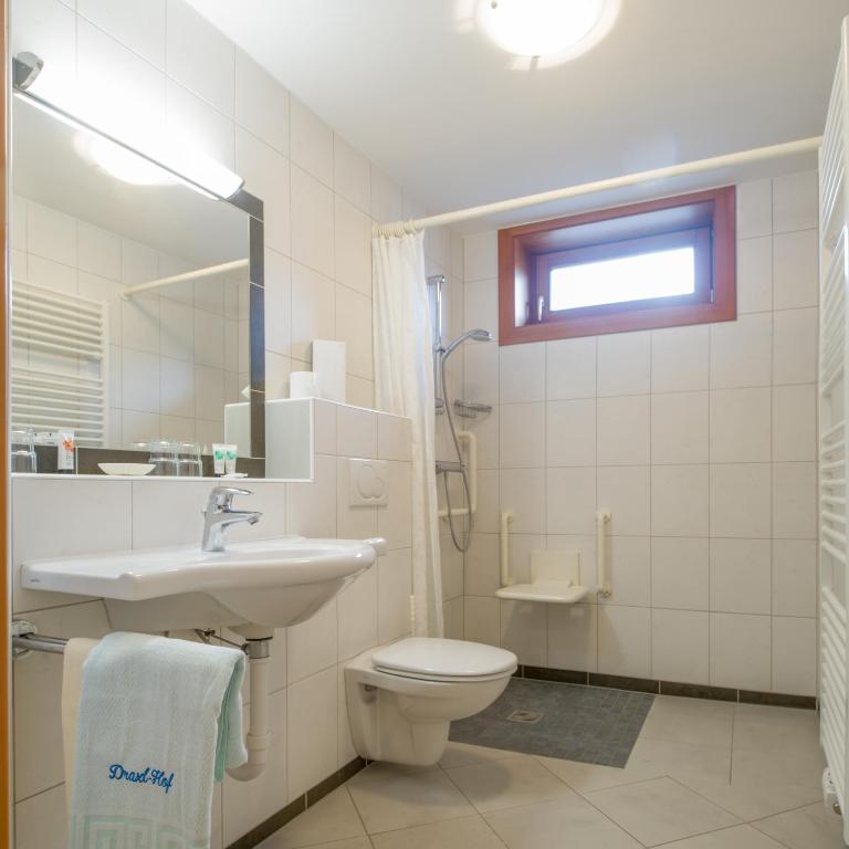 Draxl-Hof Ferienwohnungen - Apartment mit 1 Schlafzimmer und Balkon - Dachgeschoss - 5