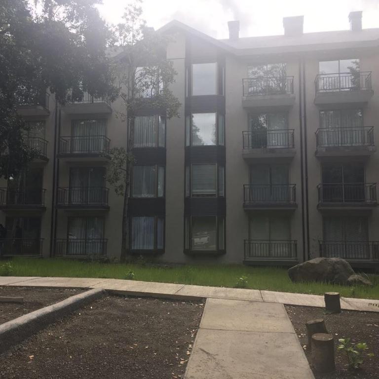 Departamento en Pucon - Apartment with Garden View - 7