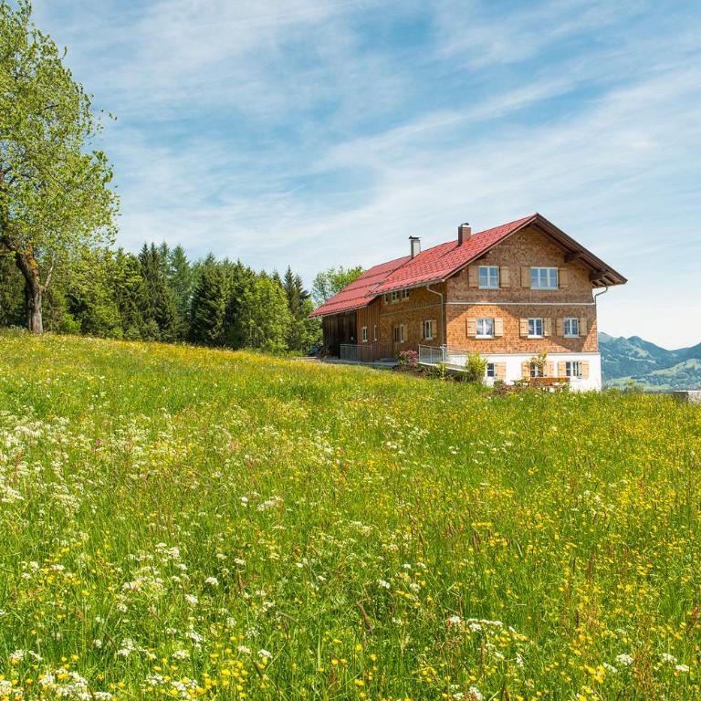 Chalet Hageberg ab Mai freie Fahrt mit Bergbahnen - Ferienhaus - 15