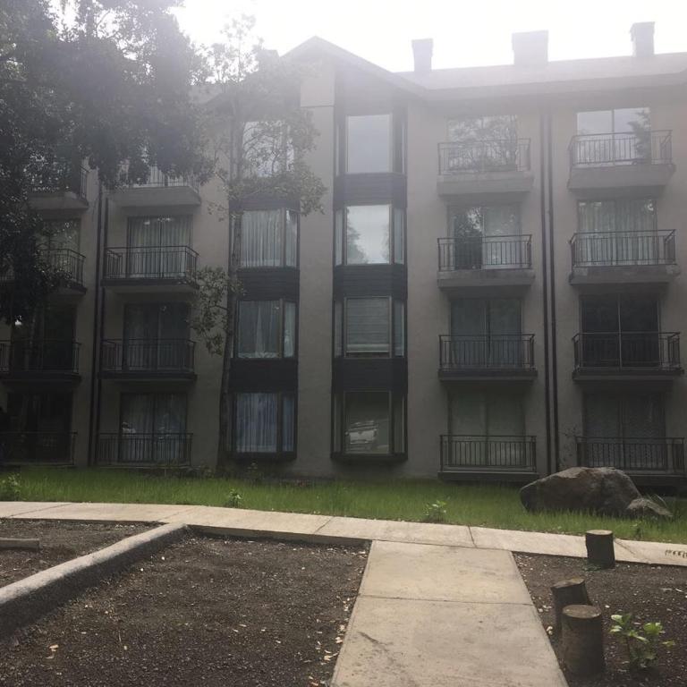 Departamento en Pucon - Apartment with Garden View - 6