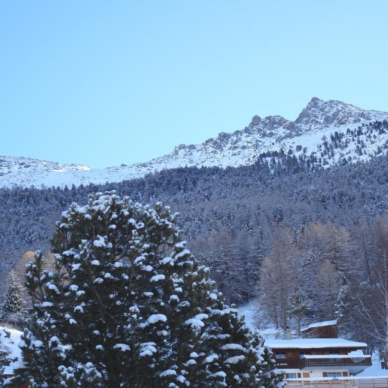 Sunnegga - Appartement 5 Chambres - Vue sur Montagne - 9