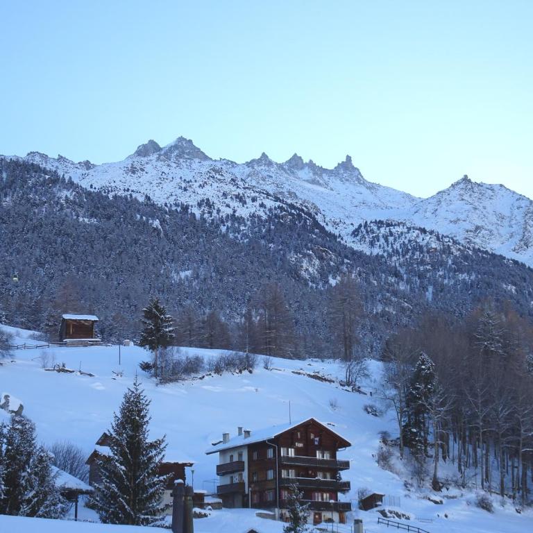 Sunnegga - Appartement 5 Chambres - Vue sur Montagne - 8