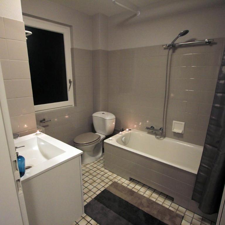 Finala Colmar - Apartment mit 1 Schlafzimmer - 65