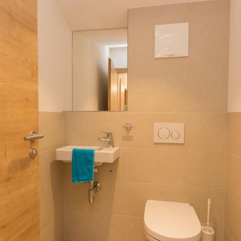 Ferienhaus Hohenwarter - Apartamento Estándar - 11