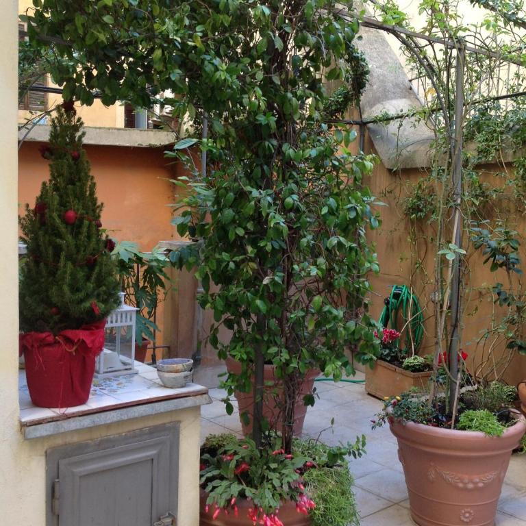 Viadelloca35 - Appartamento con Terrazza - 45