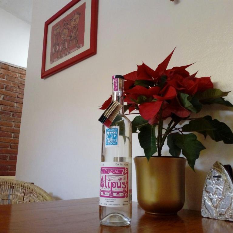 Casa Mixteca Santo Domingo Oaxaca - Casa con 1 dormitorio - 17