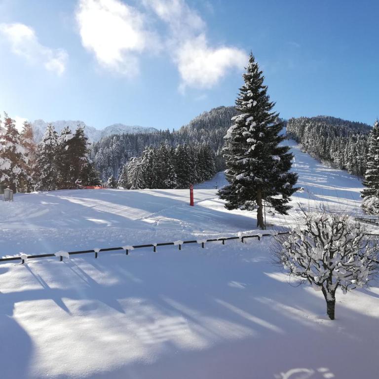 Romantic Chalet-Style Flat with Mountain View - Apartment mit Blick auf die Berge - 41