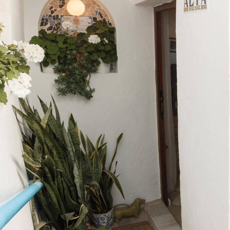Casa Alta Mojacar Pueblo - Casa con 1 dormitorio - 22
