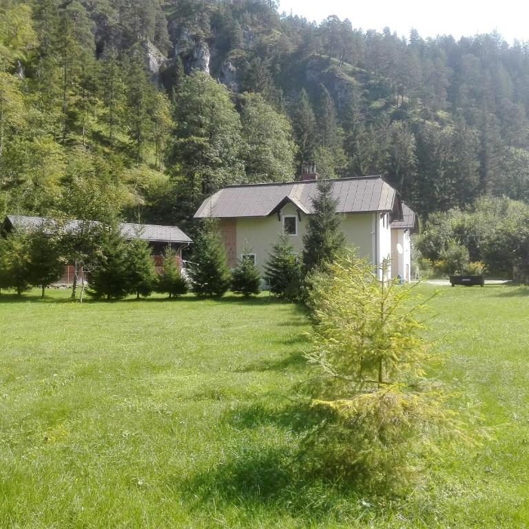 Penzion Black Sheeps Adventures - Doppelzimmer - 17